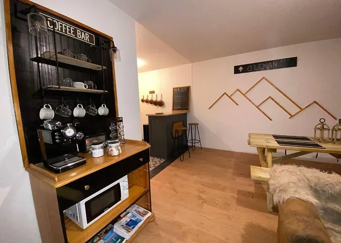 Appartamento O'léman Avec Sauna Inclus Thonon-les-Bains