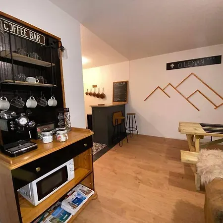Appartement O'leman Avec Sauna Inclus Thonon-les-Bains